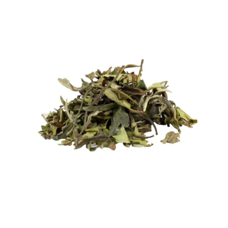 Pai Mu Tan Biologisch